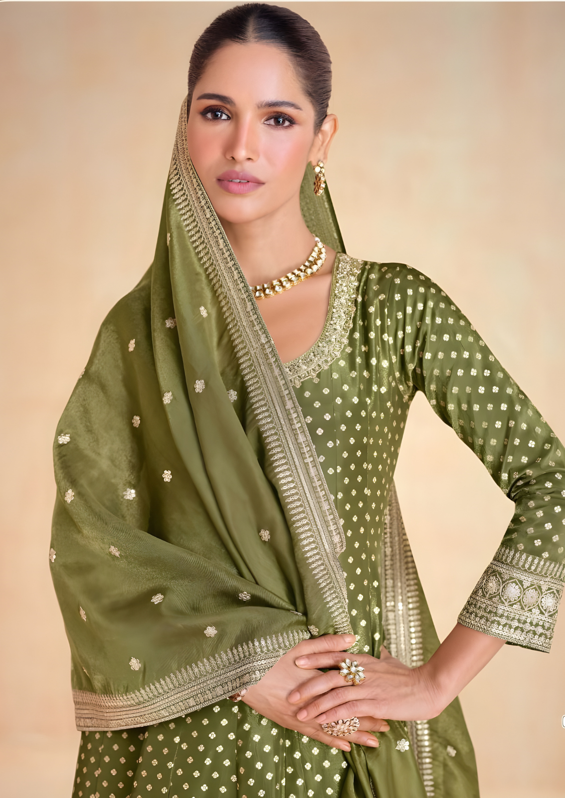 Tissue Silk Long Frock With Zari Work