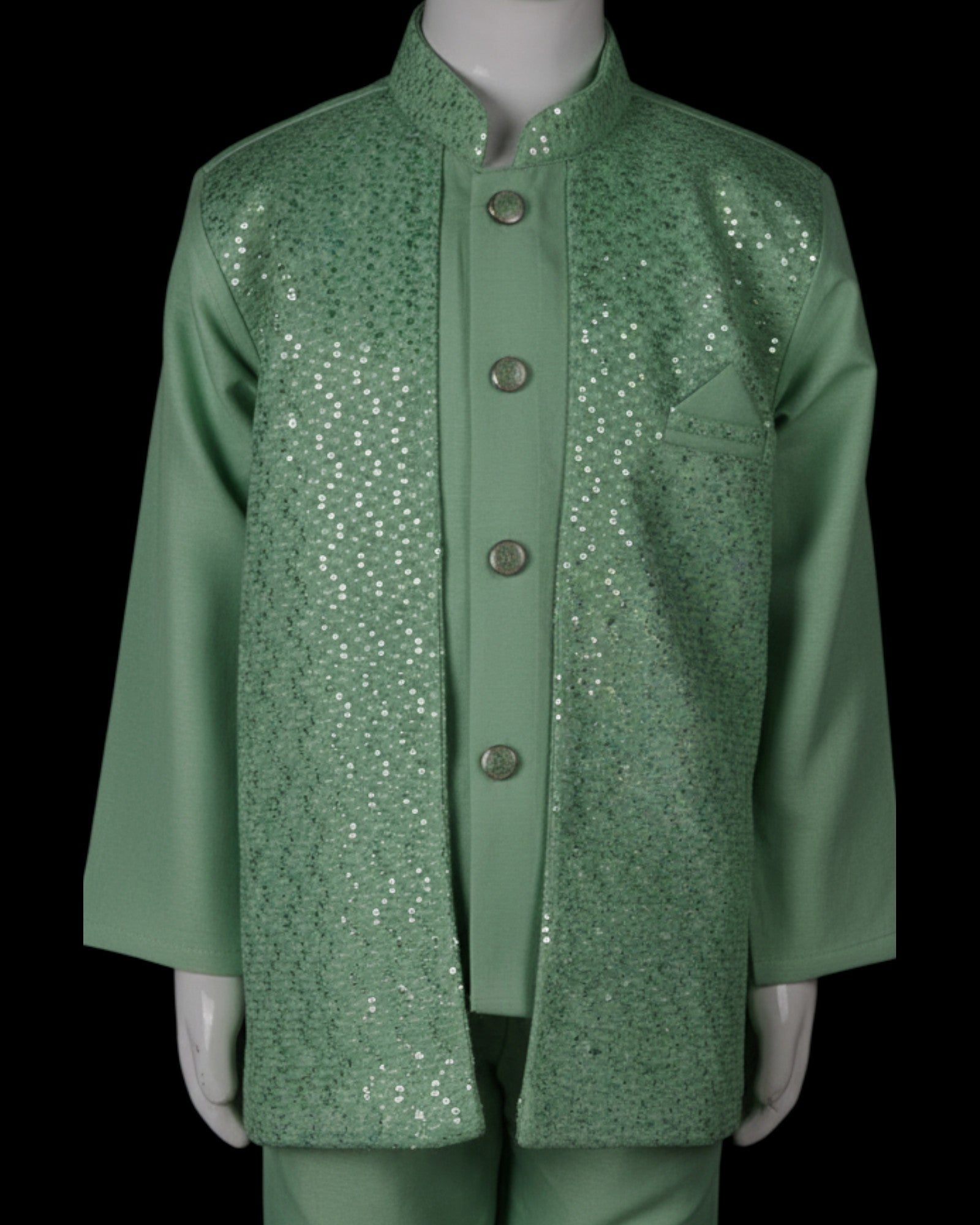 Embrace Tradition Sequin Embroidered Fusion Wear